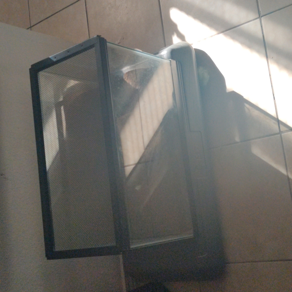 Fish tank snake aquarium or bug aquarium can be used of your choice